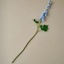 Larkspur Stem