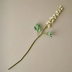 Larkspur Stem