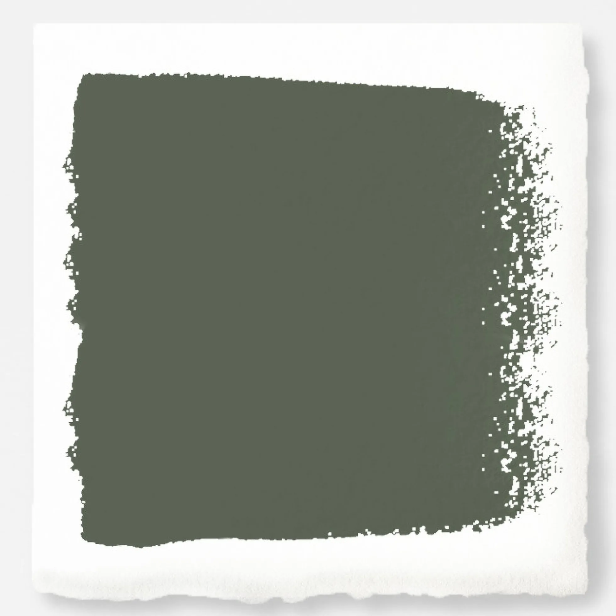 Lemon Leaves - Classic Interior Paint