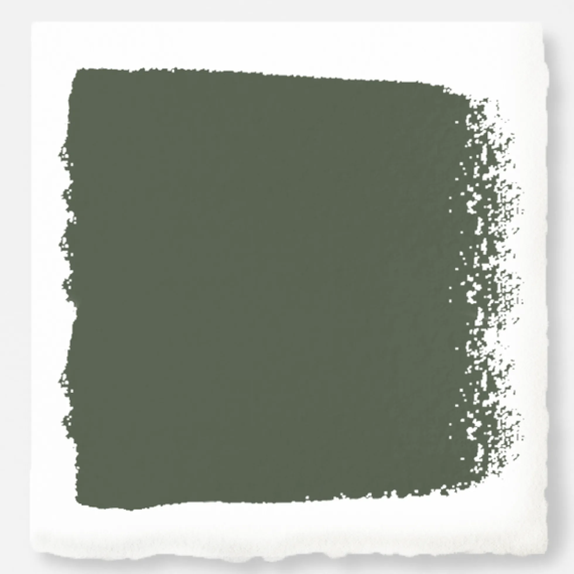 Lemon Leaves - Exterior Paint