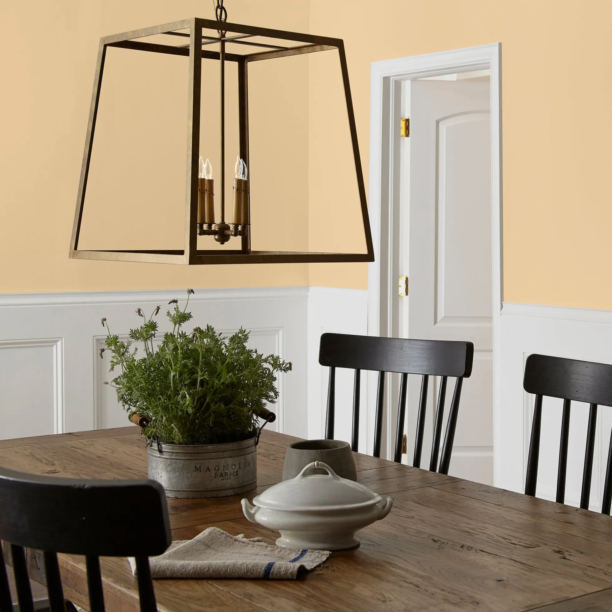Lemony - Premium Interior Paint