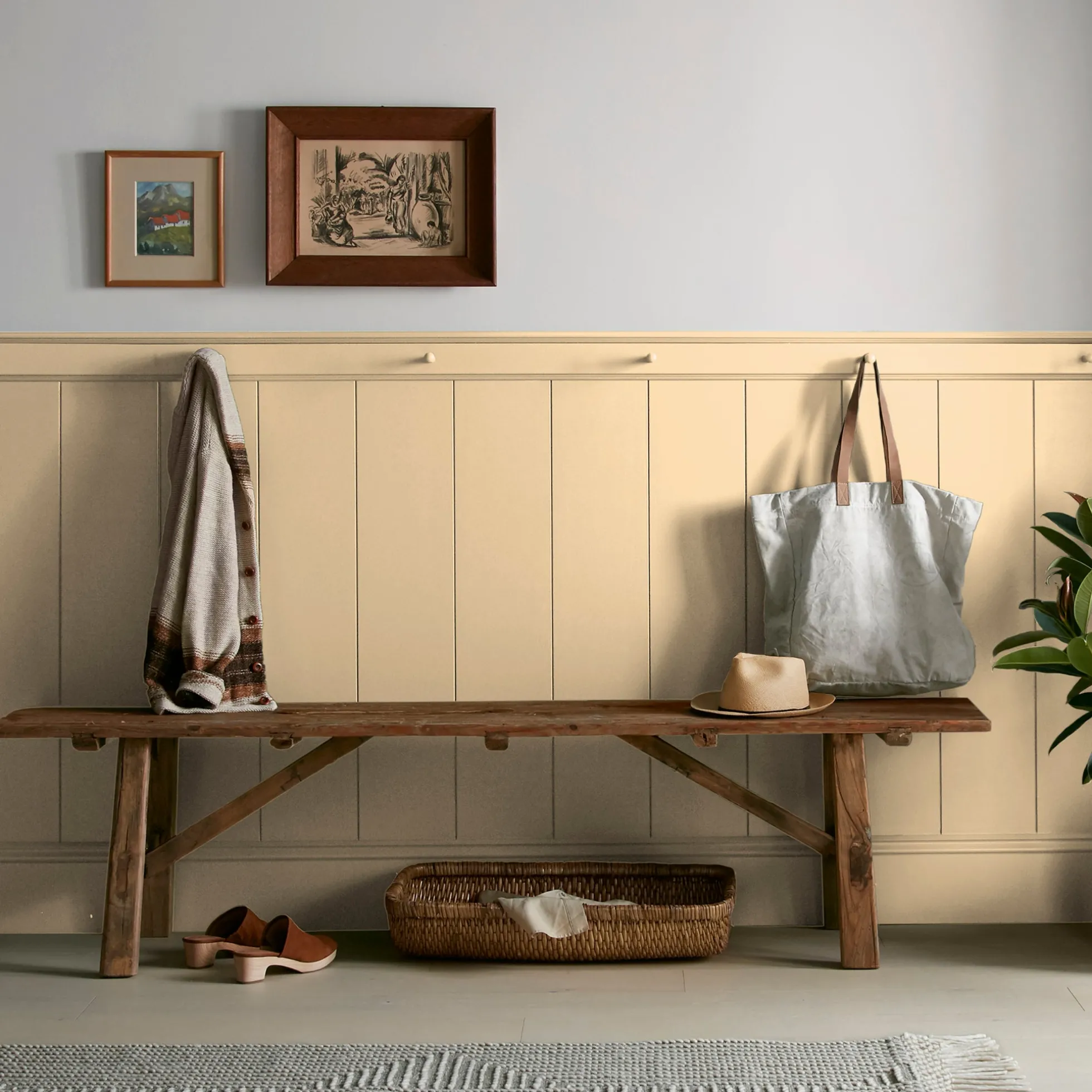 Lemony - Premium Interior Paint