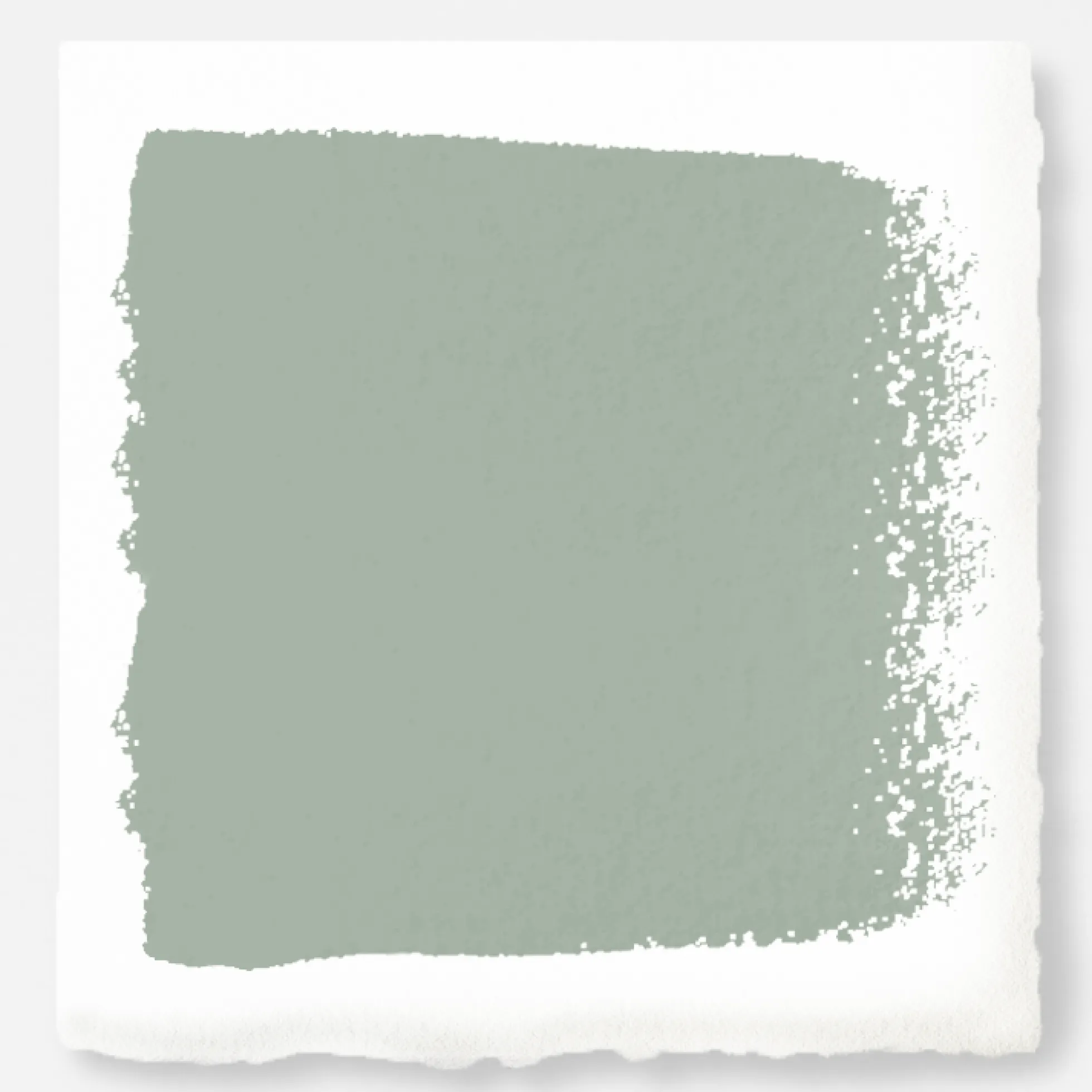 Local Greenhouse - Trim, Door + Cabinetry Paint