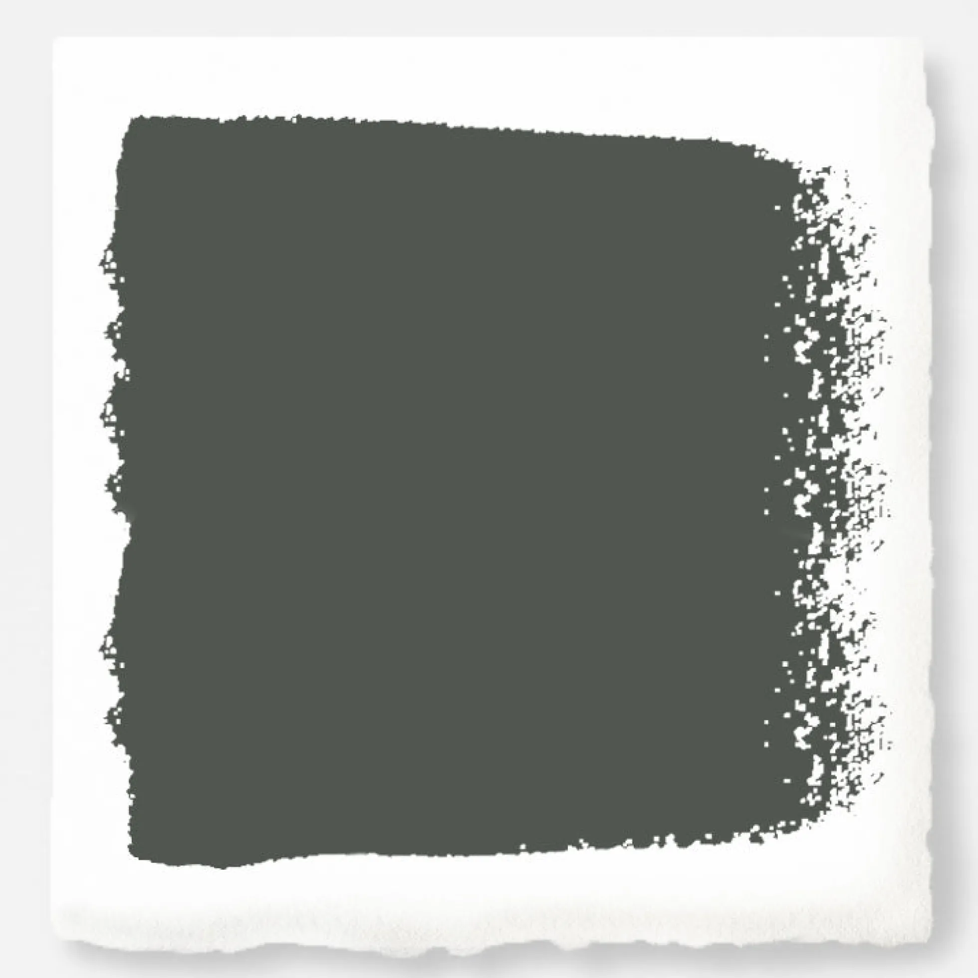 Locally Grown - Premium Interior Paint