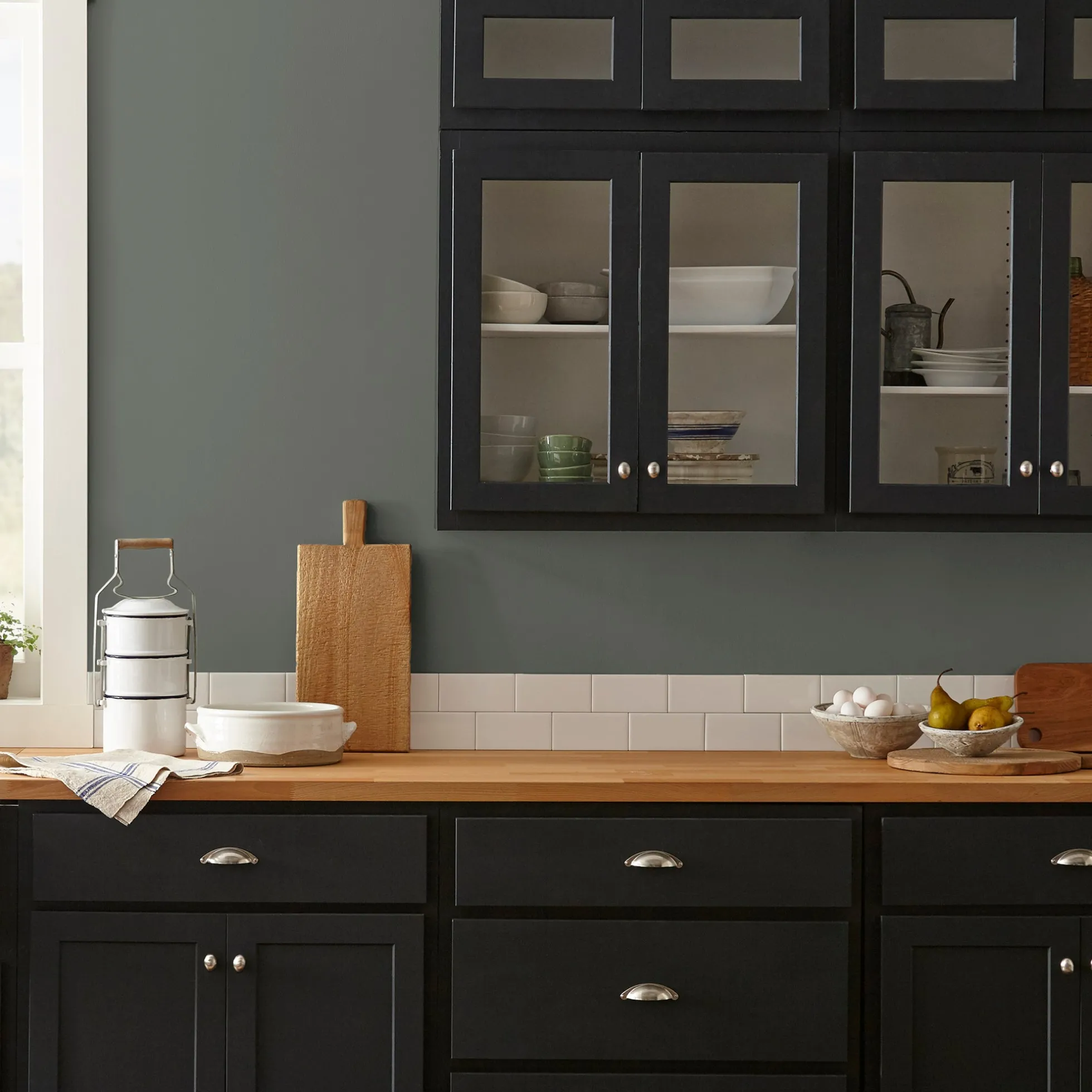 Locally Grown - Premium Interior Paint