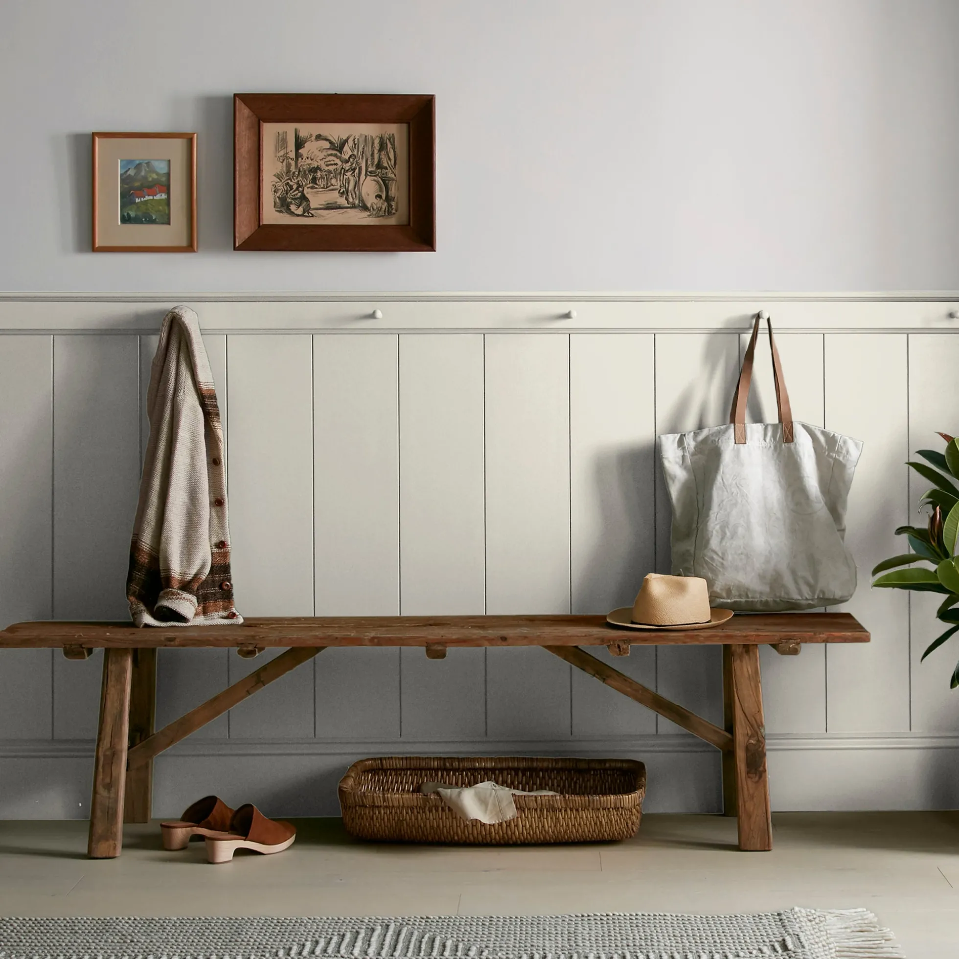 Locally Sown - Premium Interior Paint