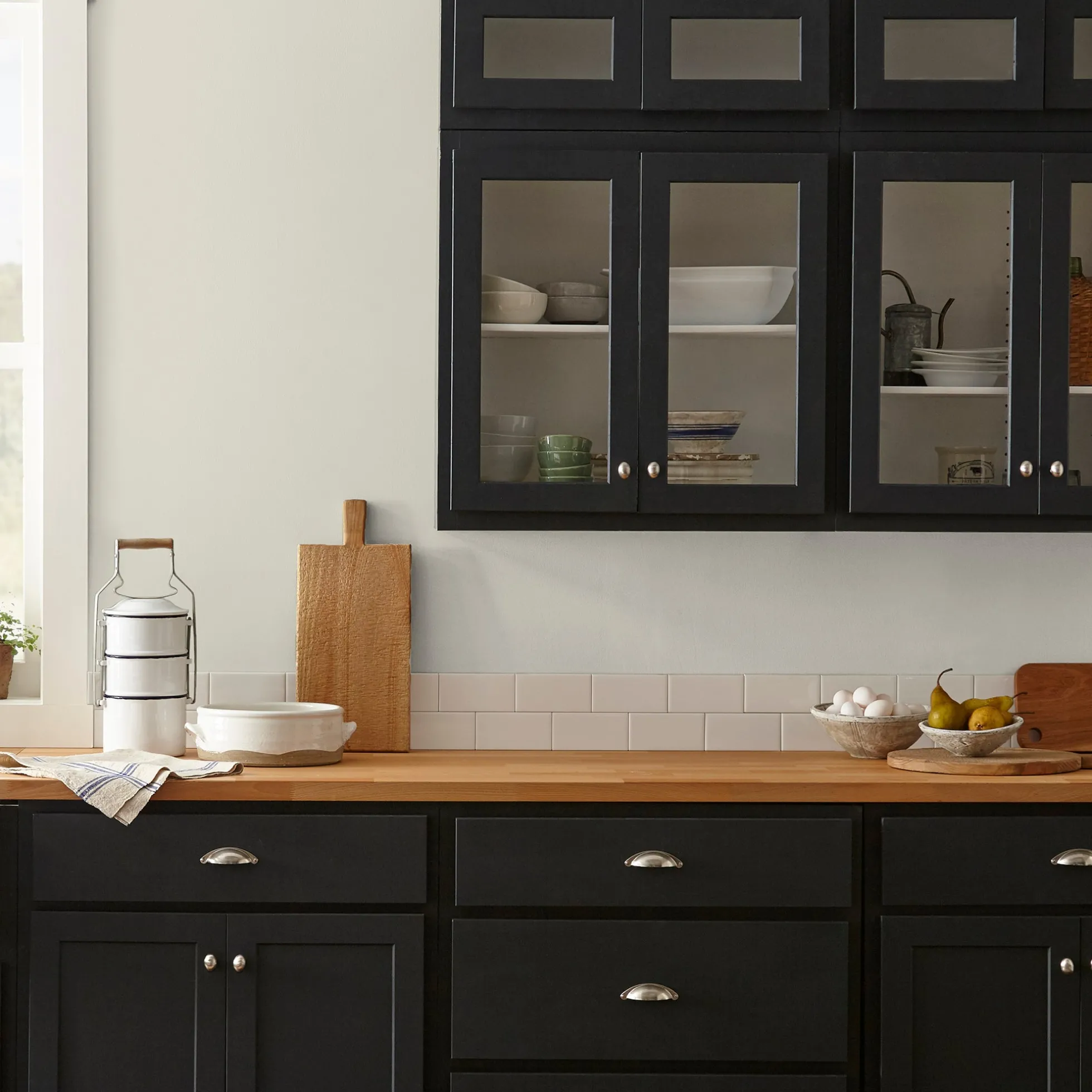 Locally Sown - Premium Interior Paint