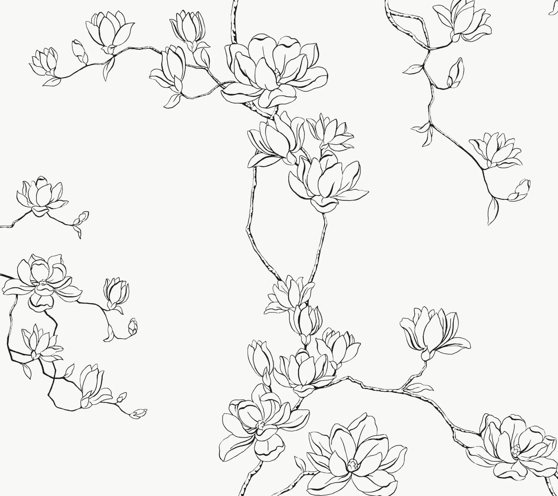 Magnolia Branches Wallpaper