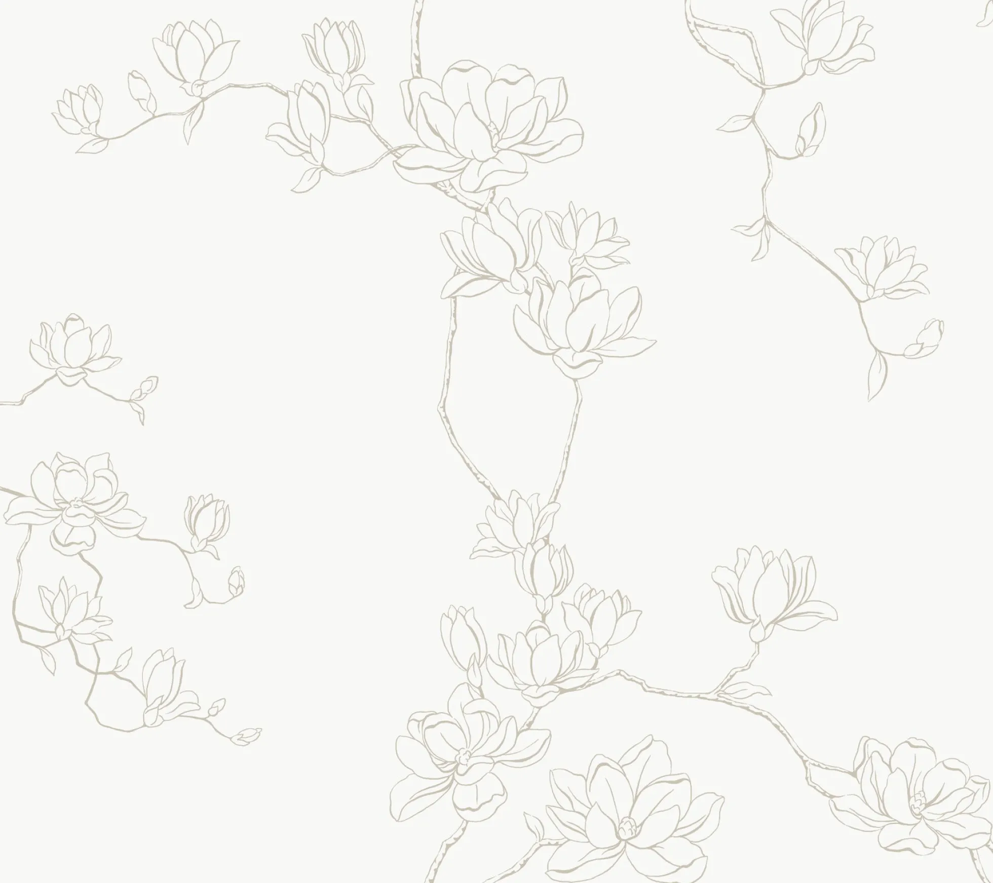 Magnolia Branches Wallpaper