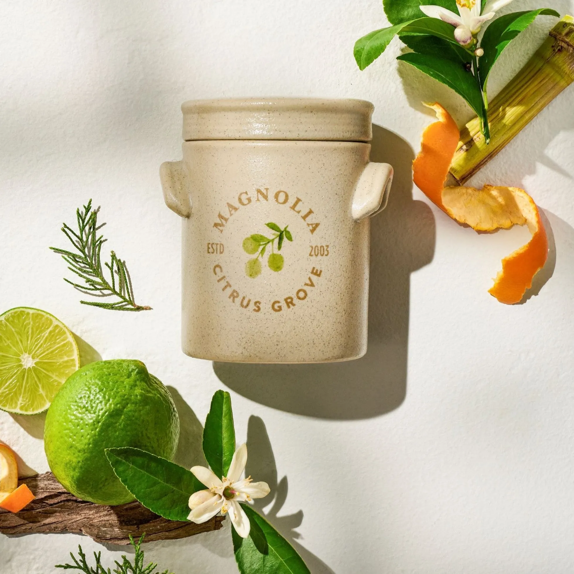 Magnolia Citrus Grove Candle
