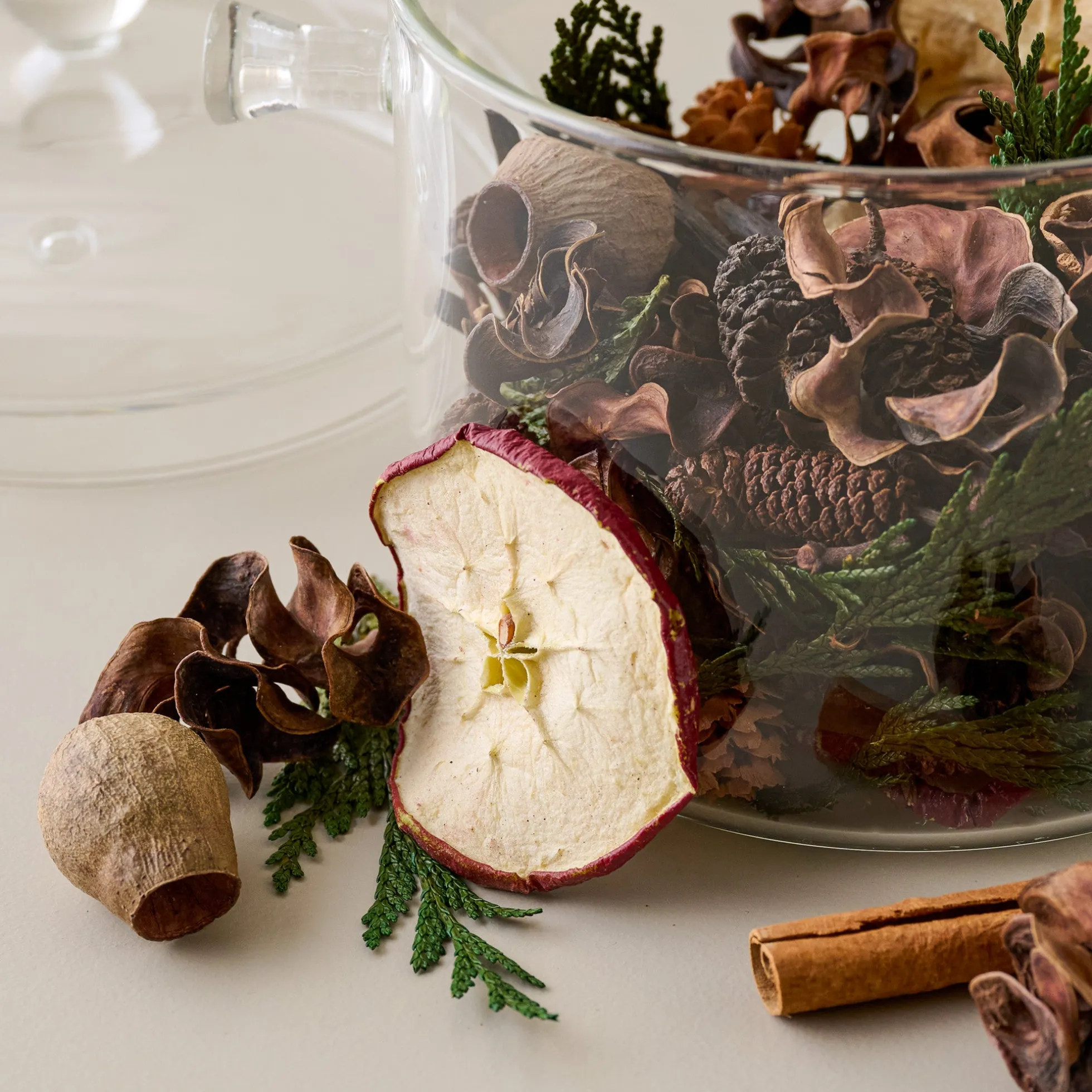 Magnolia Forest Hearth Stovetop Simmer