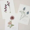 Magnolia Garden Card Set