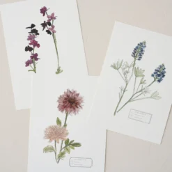 Magnolia Garden Card Set