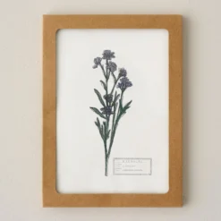 Magnolia Garden Card Set