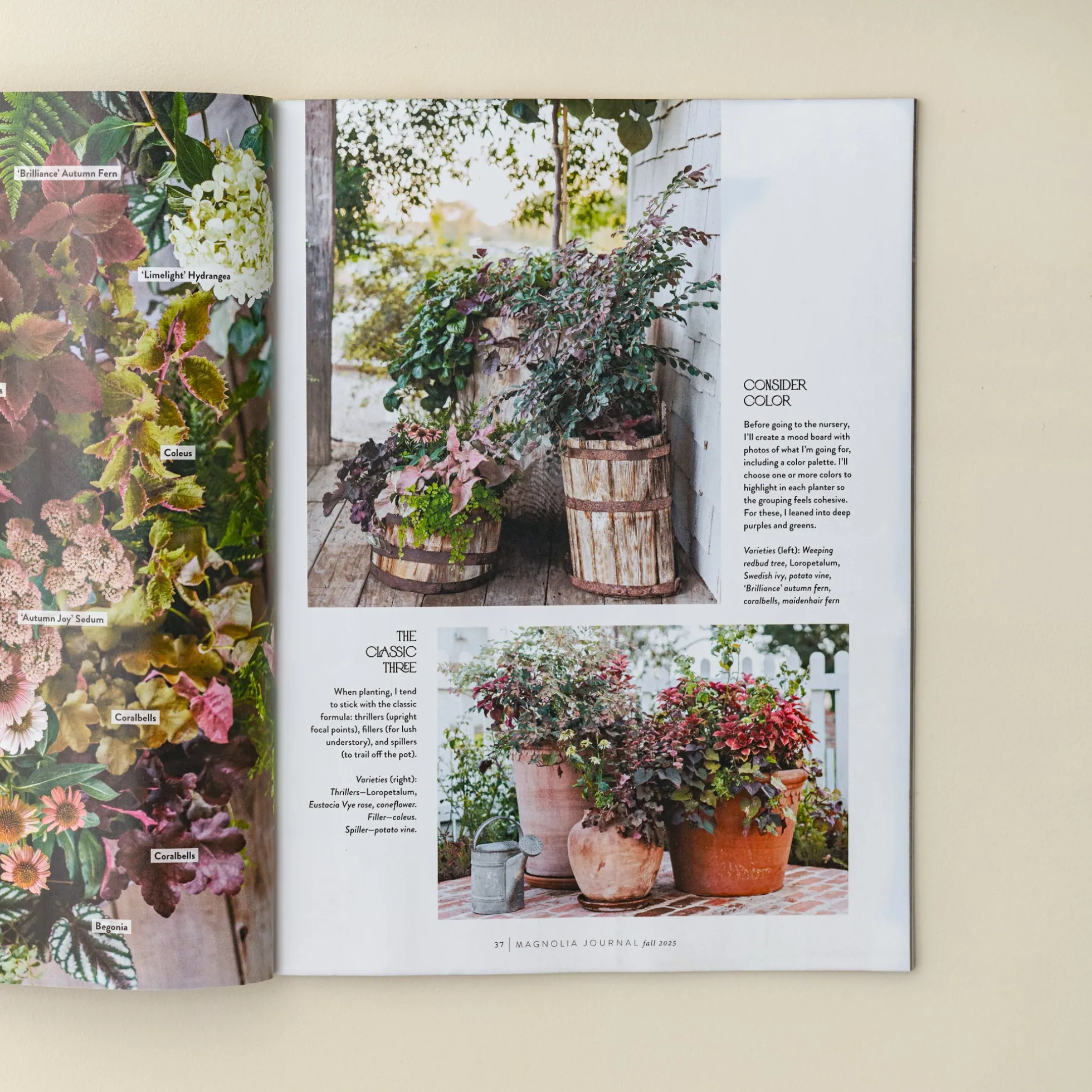 Magnolia Journal Fall 2025