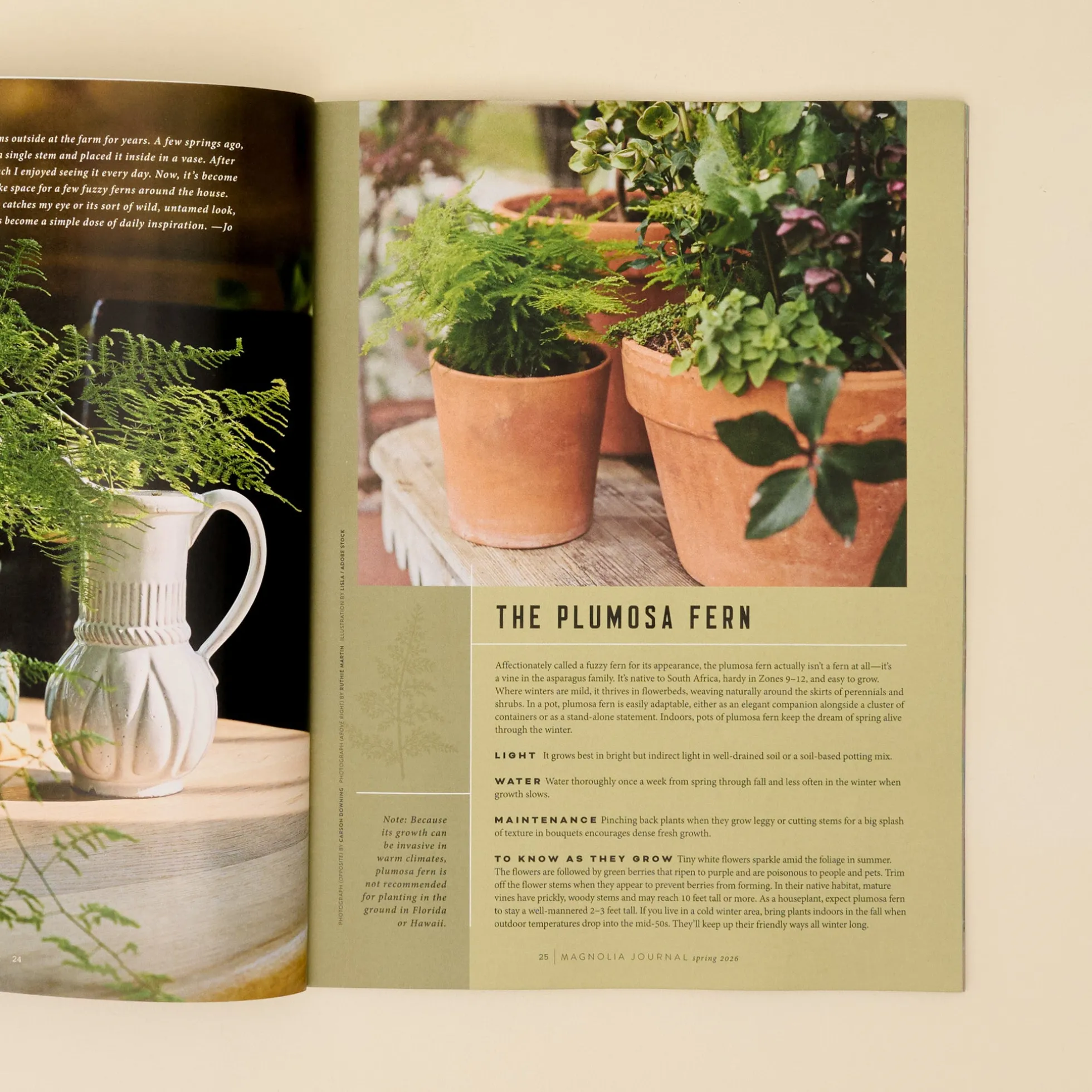 Magnolia Journal Spring 2026