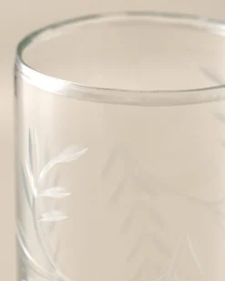 Marlowe Etched Glass Tumbler