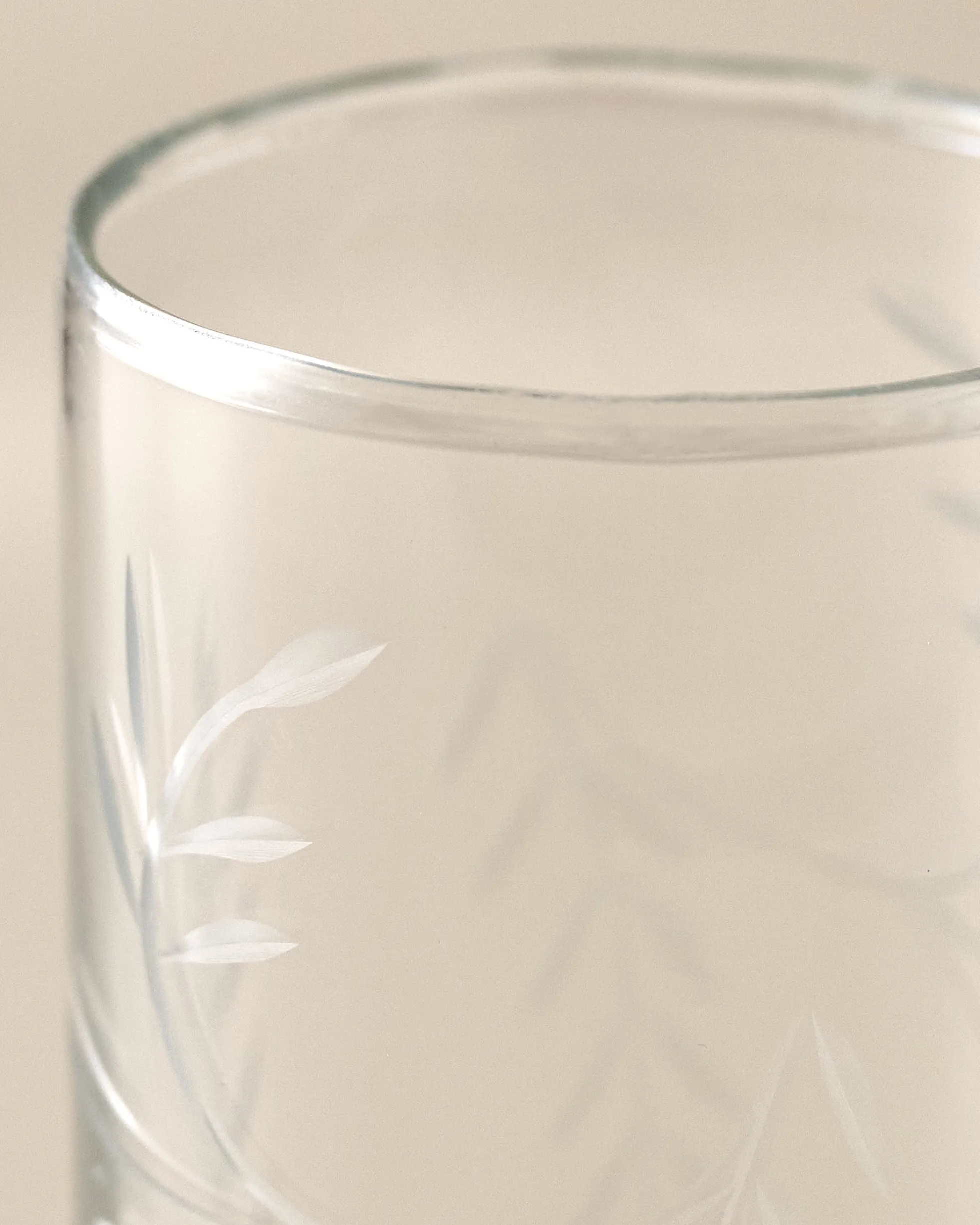 Marlowe Etched Glass Tumbler