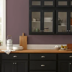 Moody Fig - Premium Interior Paint