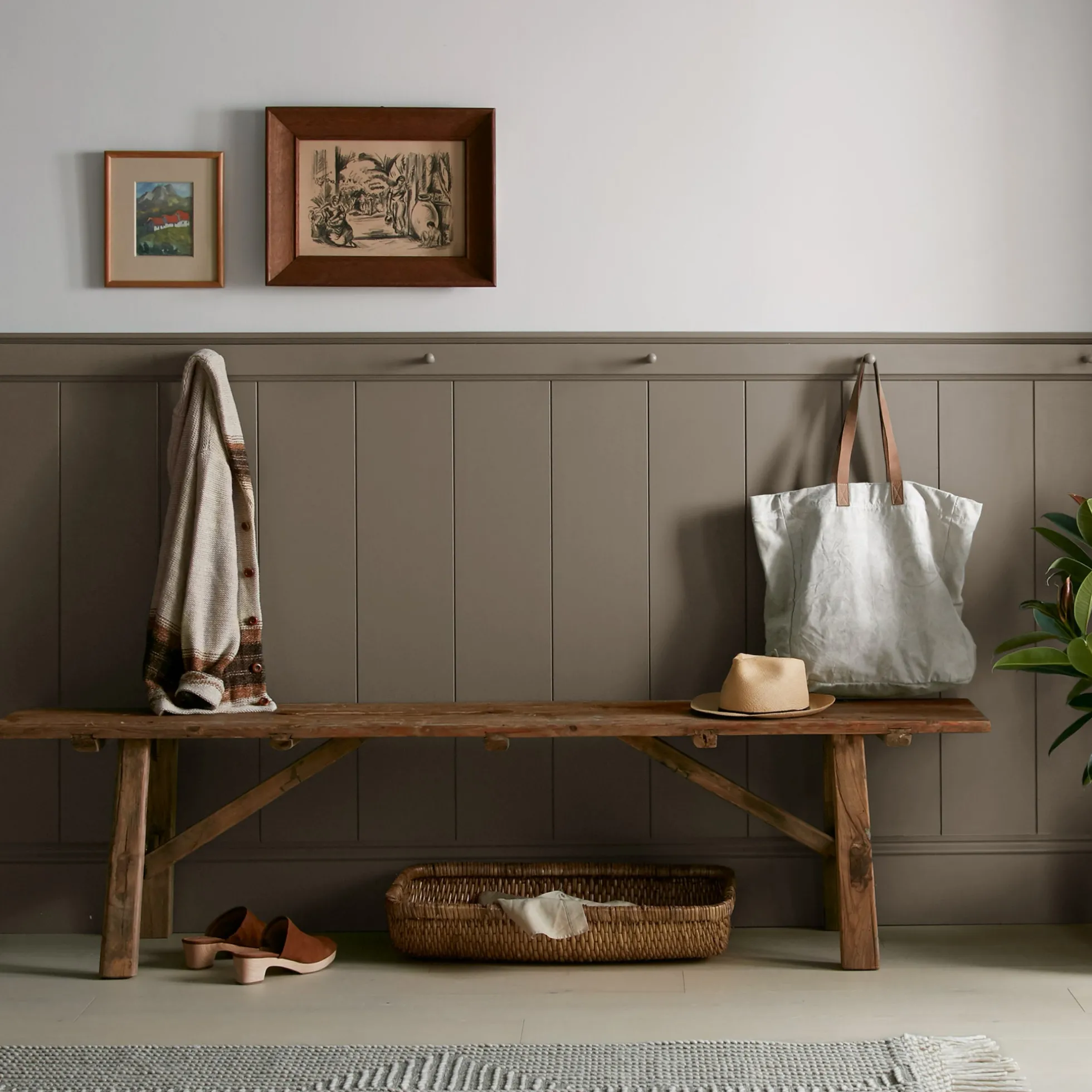 Mosswood - Premium Interior Paint