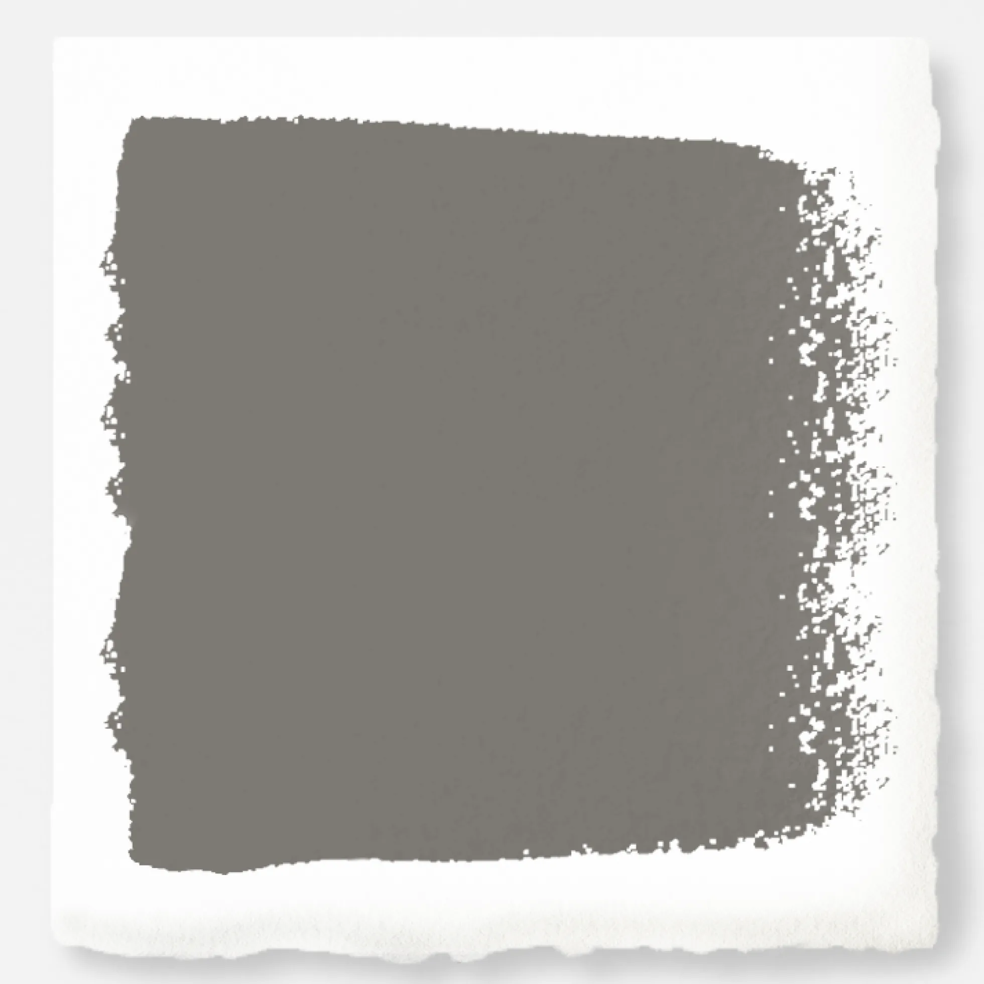 Nesting Box - Premium Interior Paint