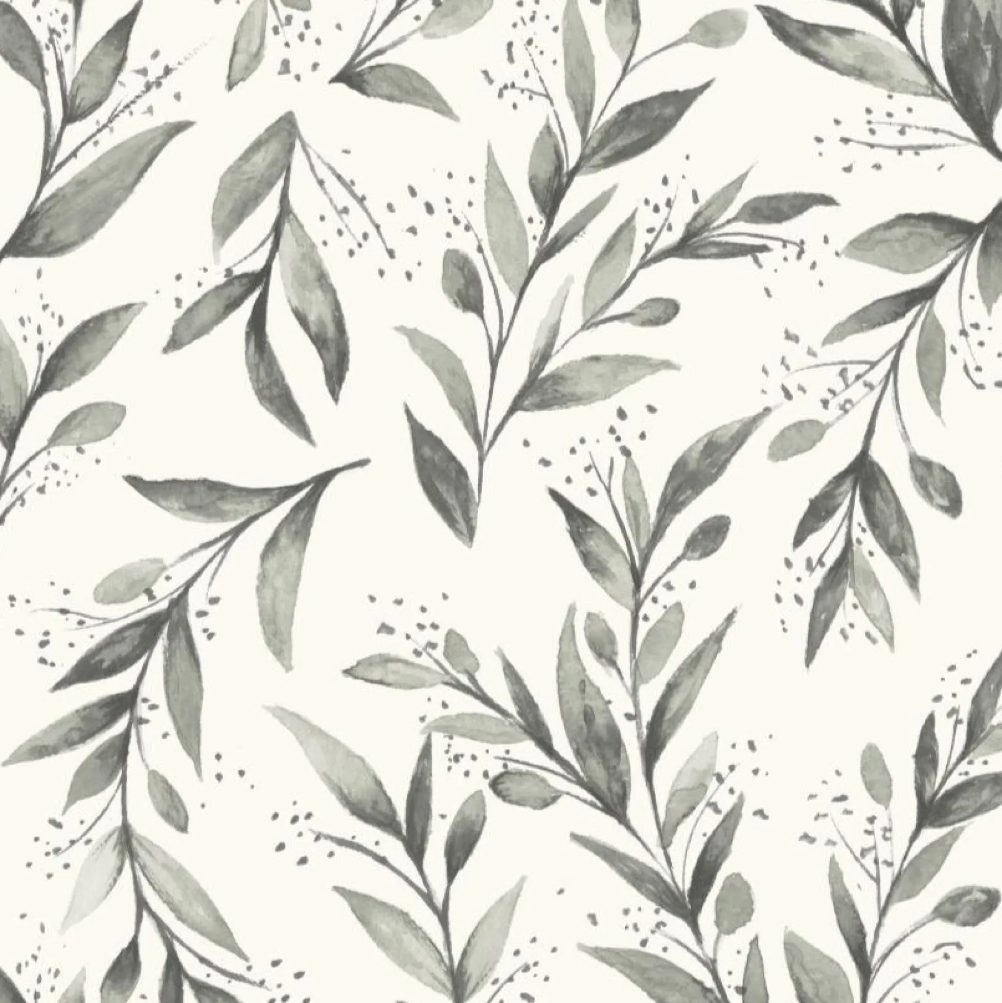 Olive Branch Wallpaper