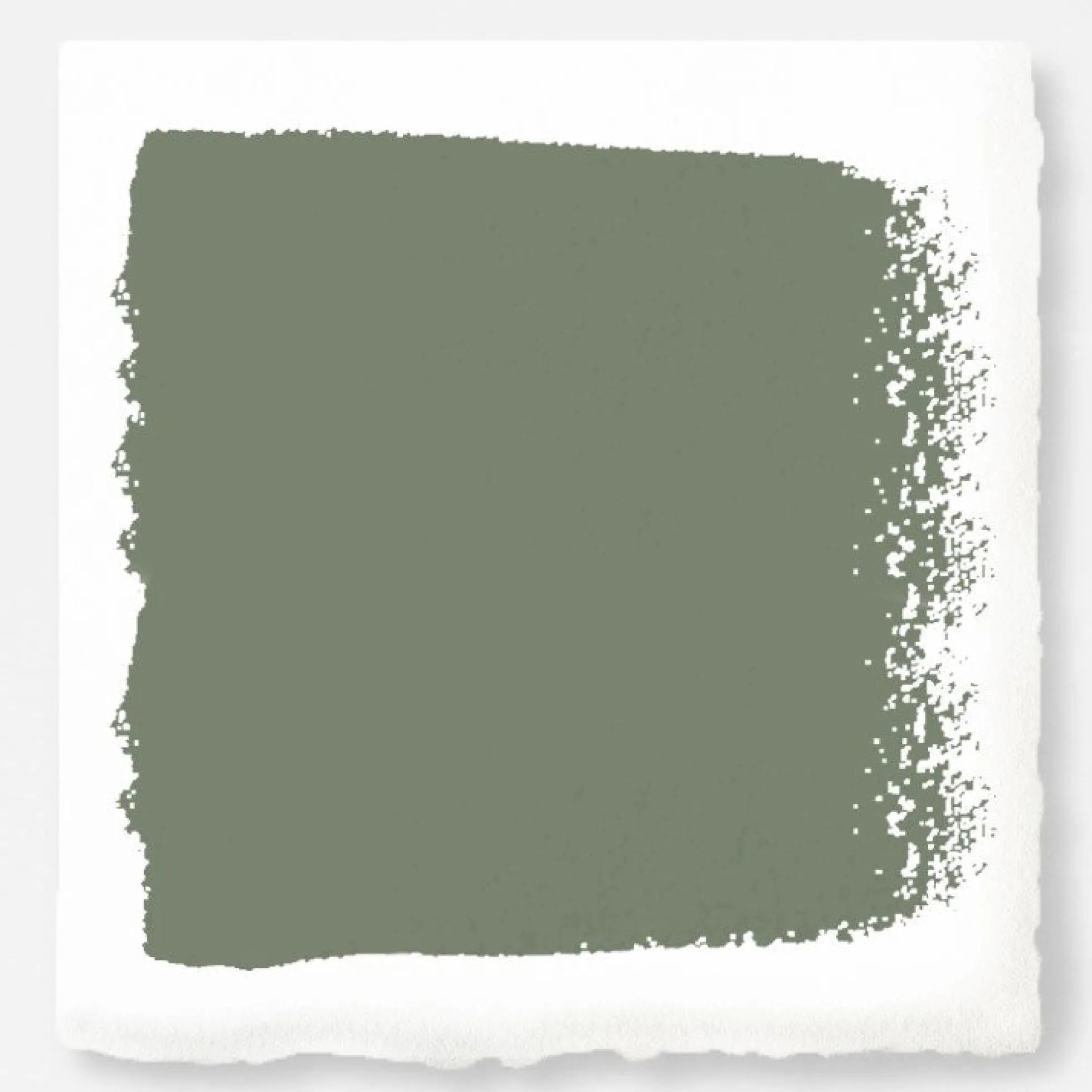 Olive Grove - Classic Interior Paint