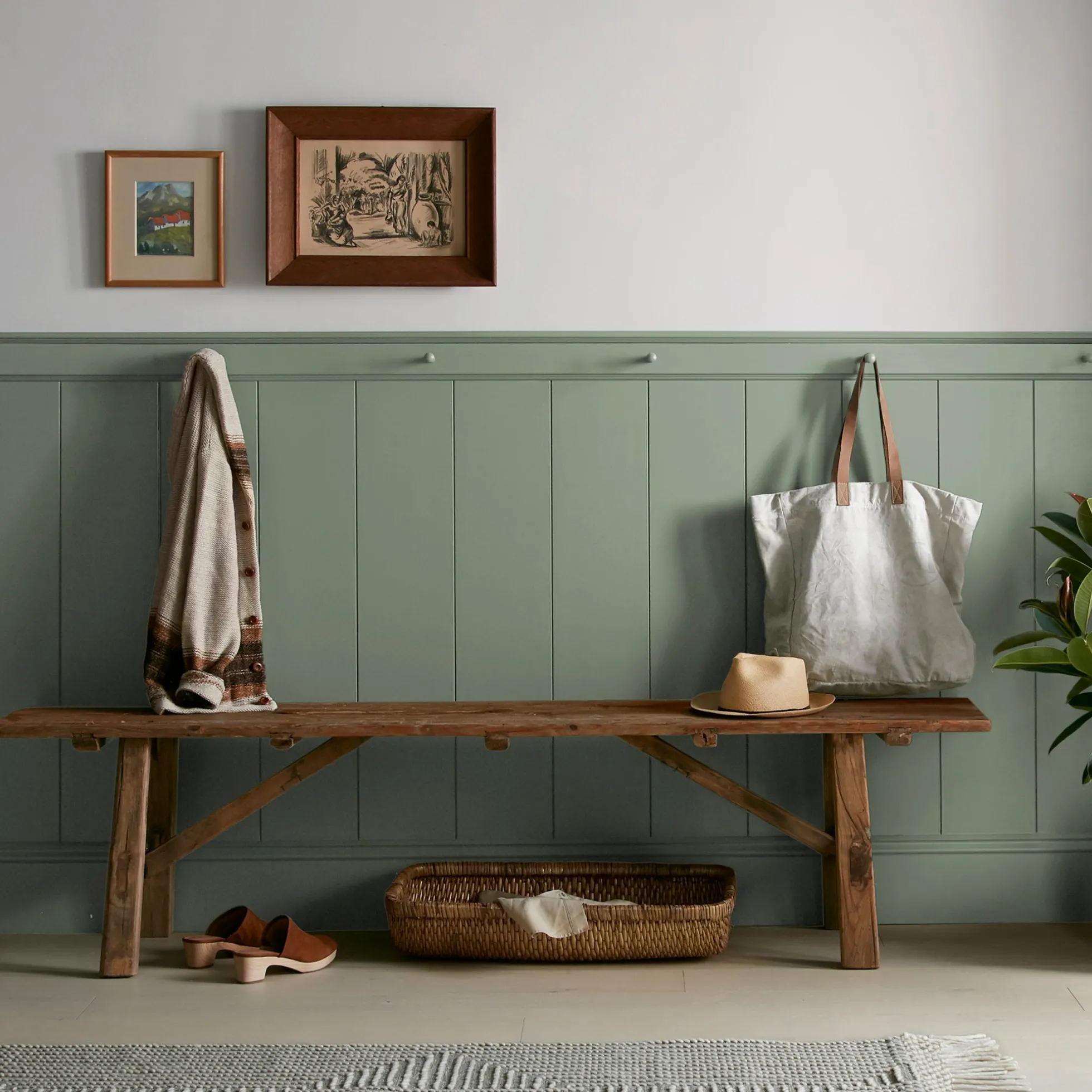 Olive Grove - Classic Interior Paint
