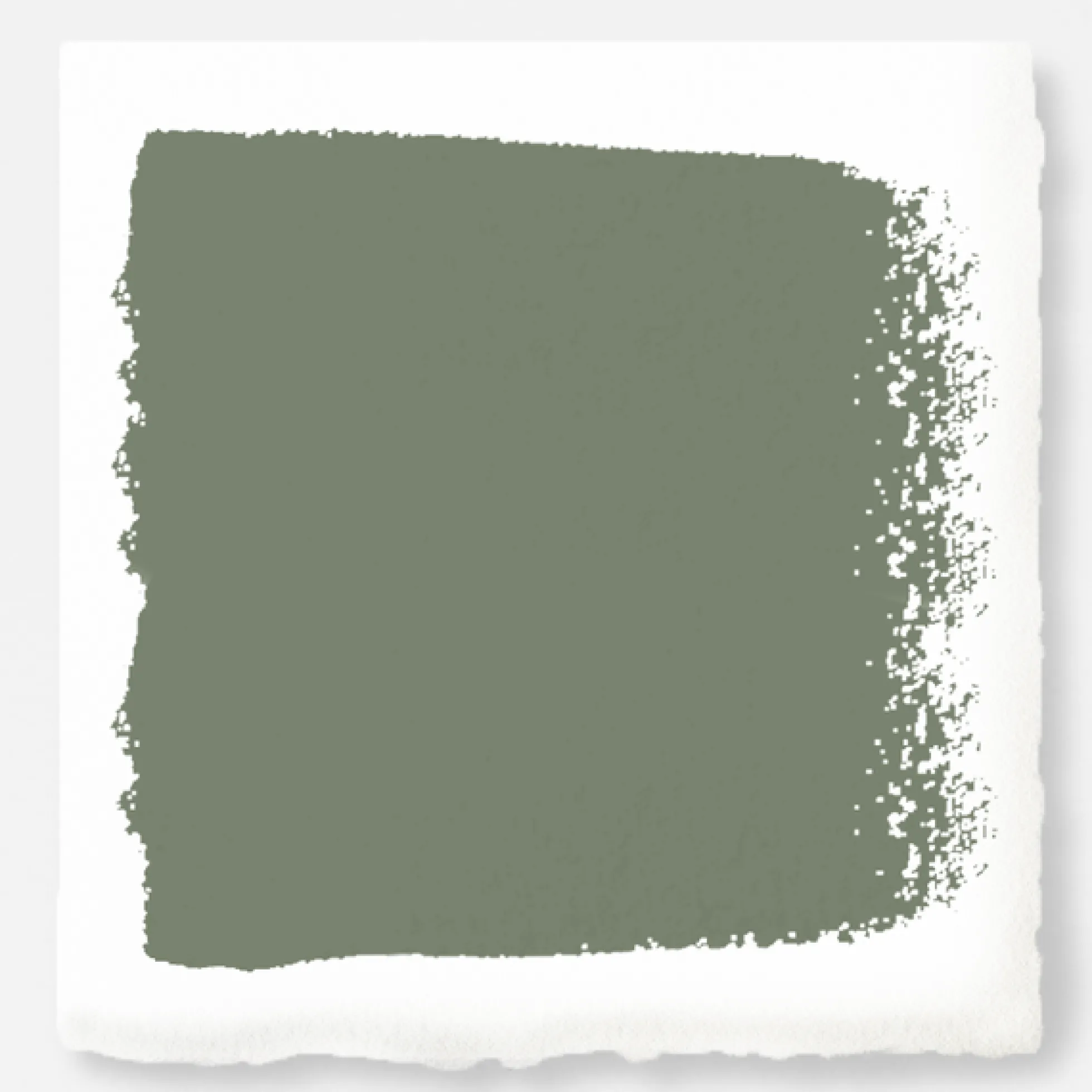 Olive Grove - Exterior Paint