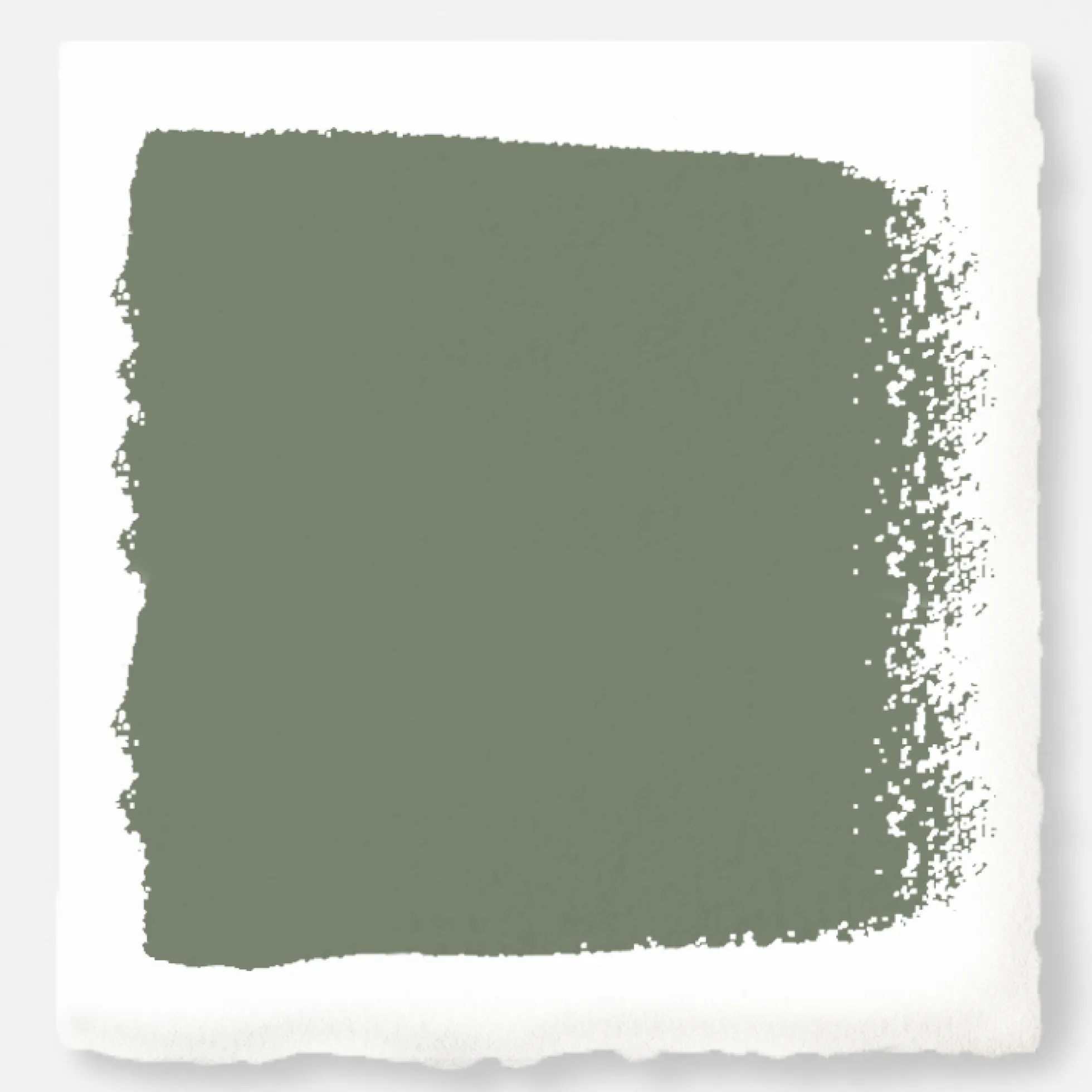 Olive Grove - Trim, Door + Cabinetry Paint