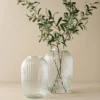 Olive Leaf Stem