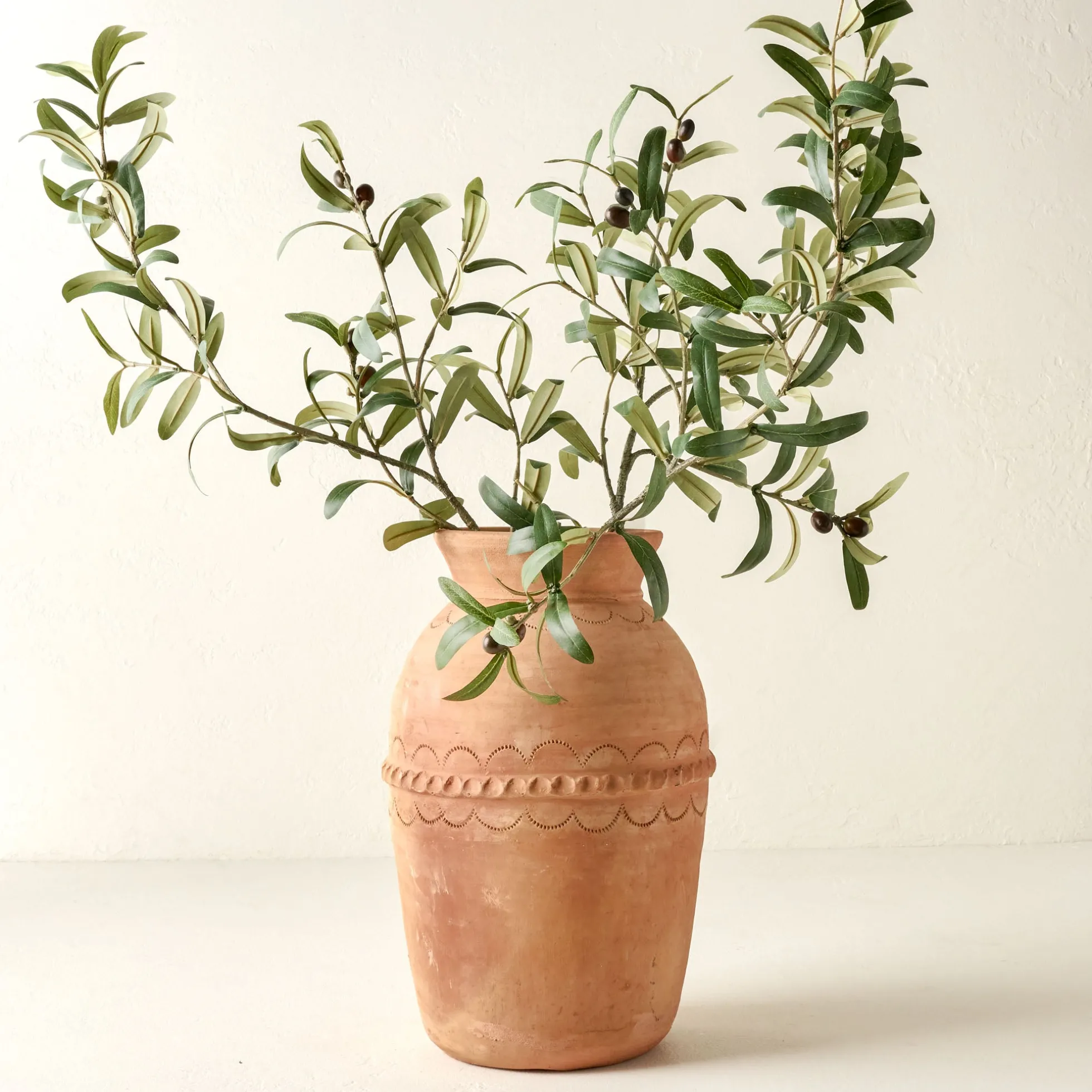 Olive Leaf Stem