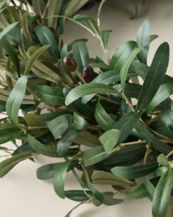 Olive Leaf Wreath