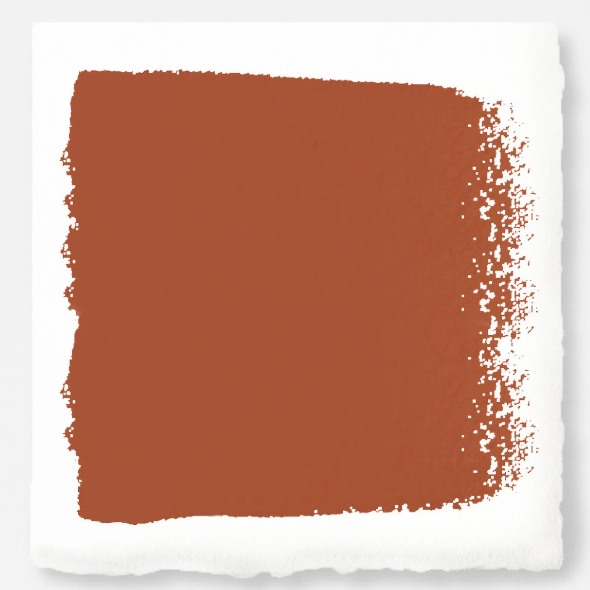 On Bosque - Classic Interior Paint