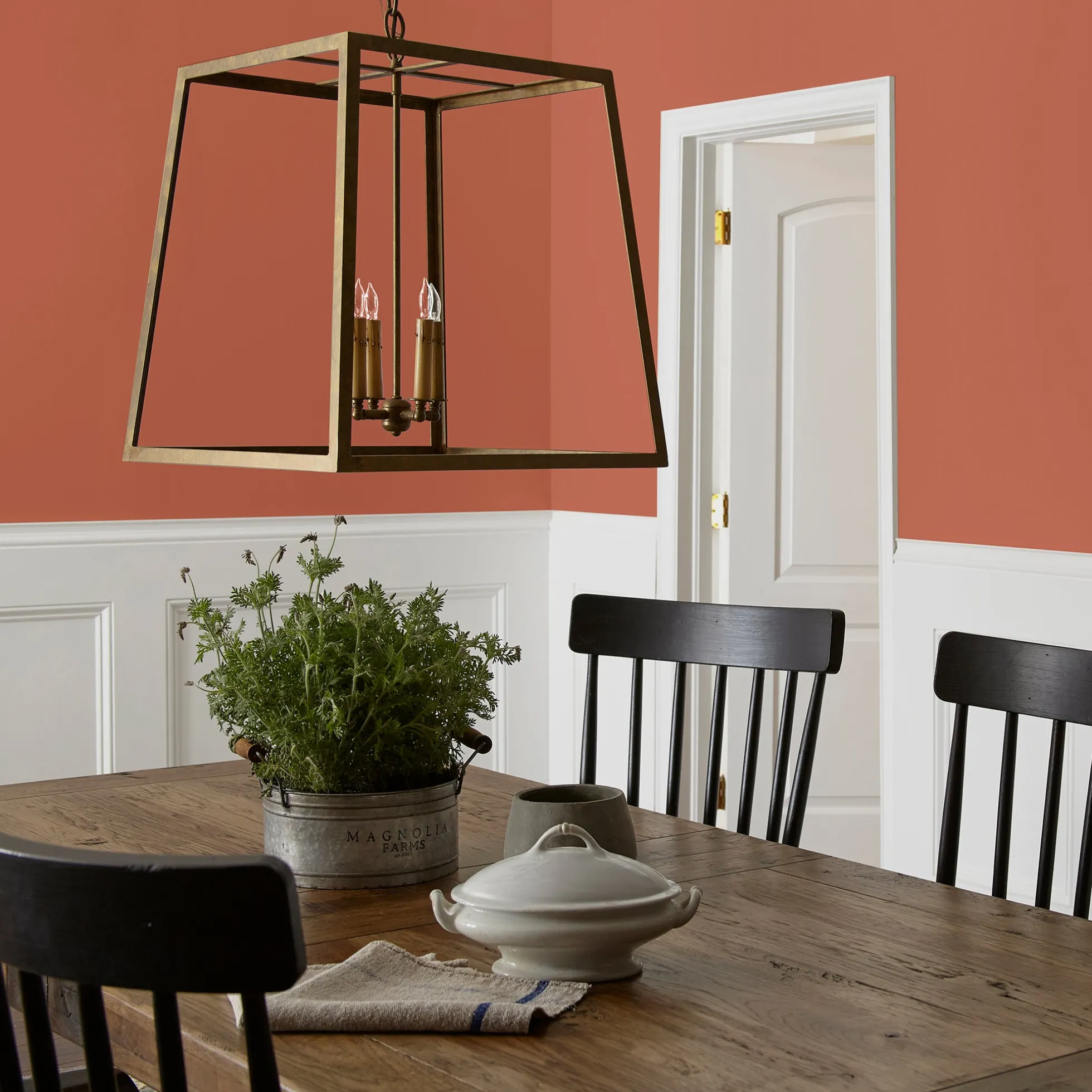 On Bosque - Classic Interior Paint