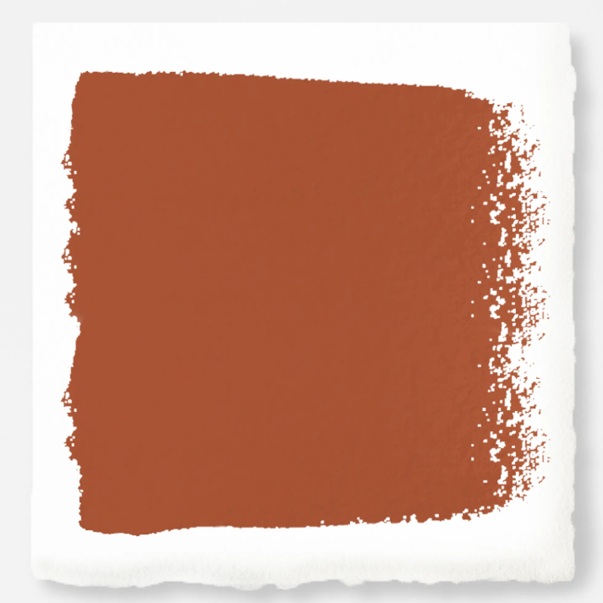 On Bosque - Trim, Door + Cabinetry Paint