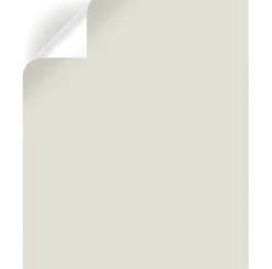 One Horn White - Premium Interior Paint