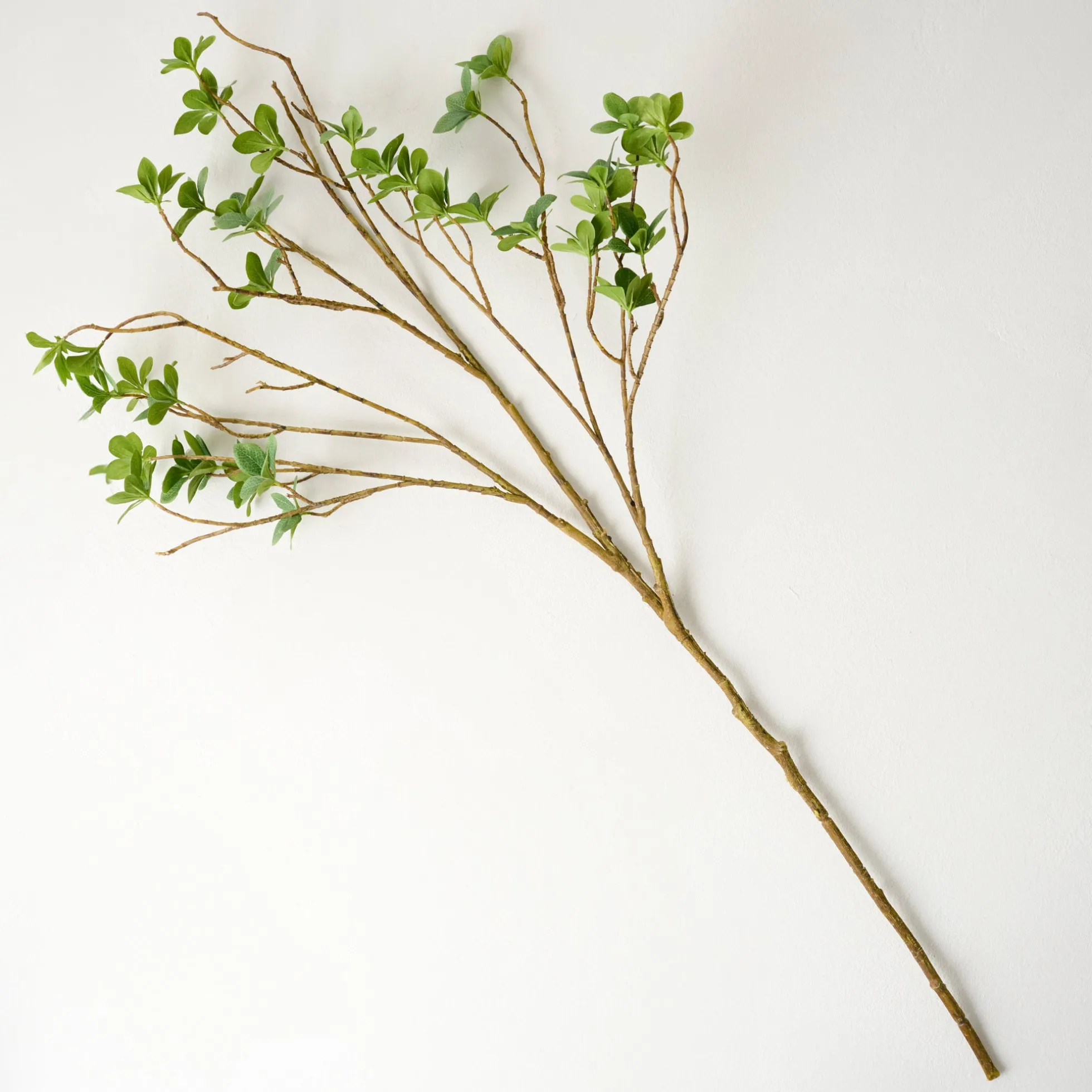Oversized Green Leaf Branch