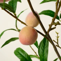 Oversized Peach Stem
