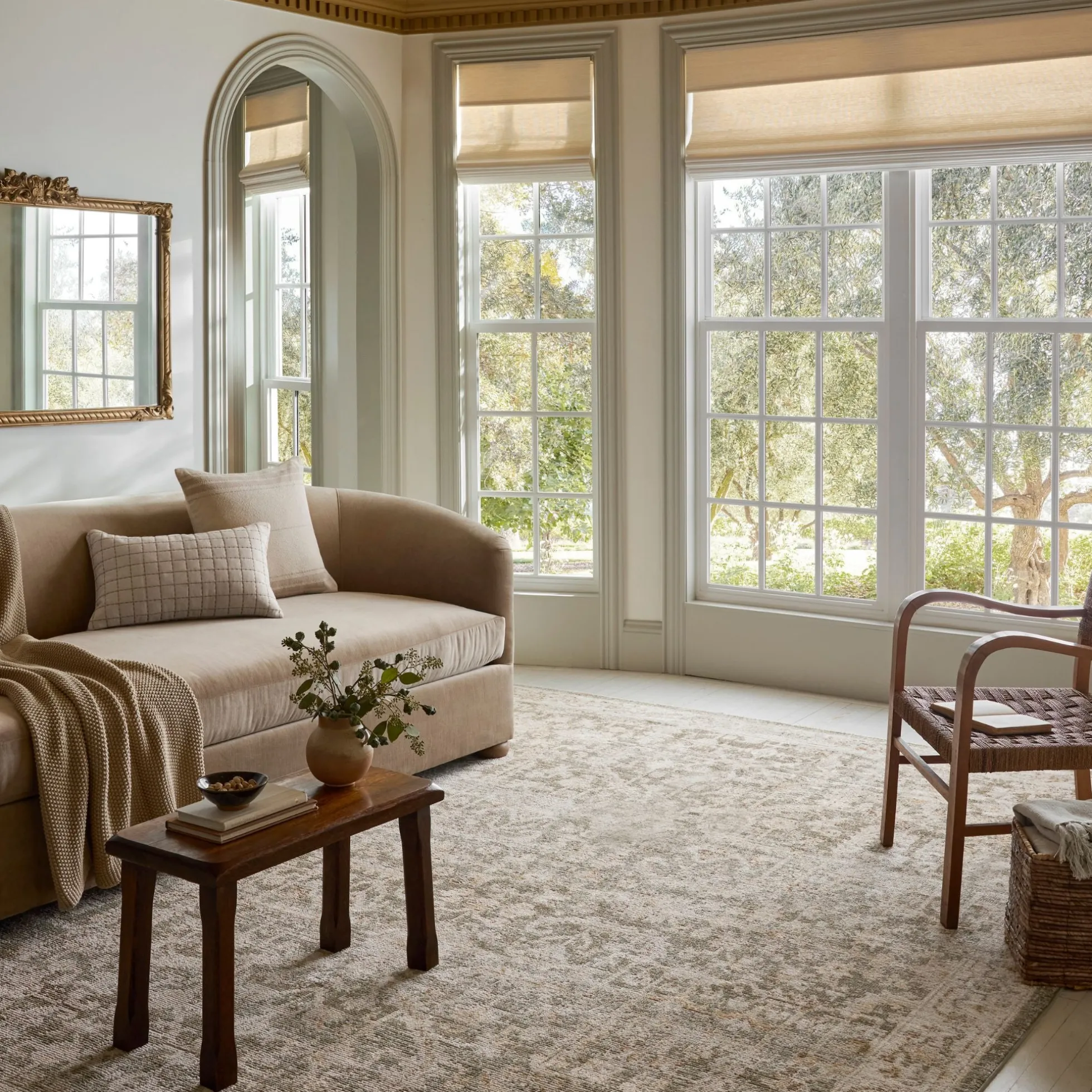 Pace Forrest Natural Rug