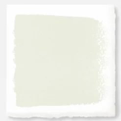 Panna Cotta - Premium Interior Paint