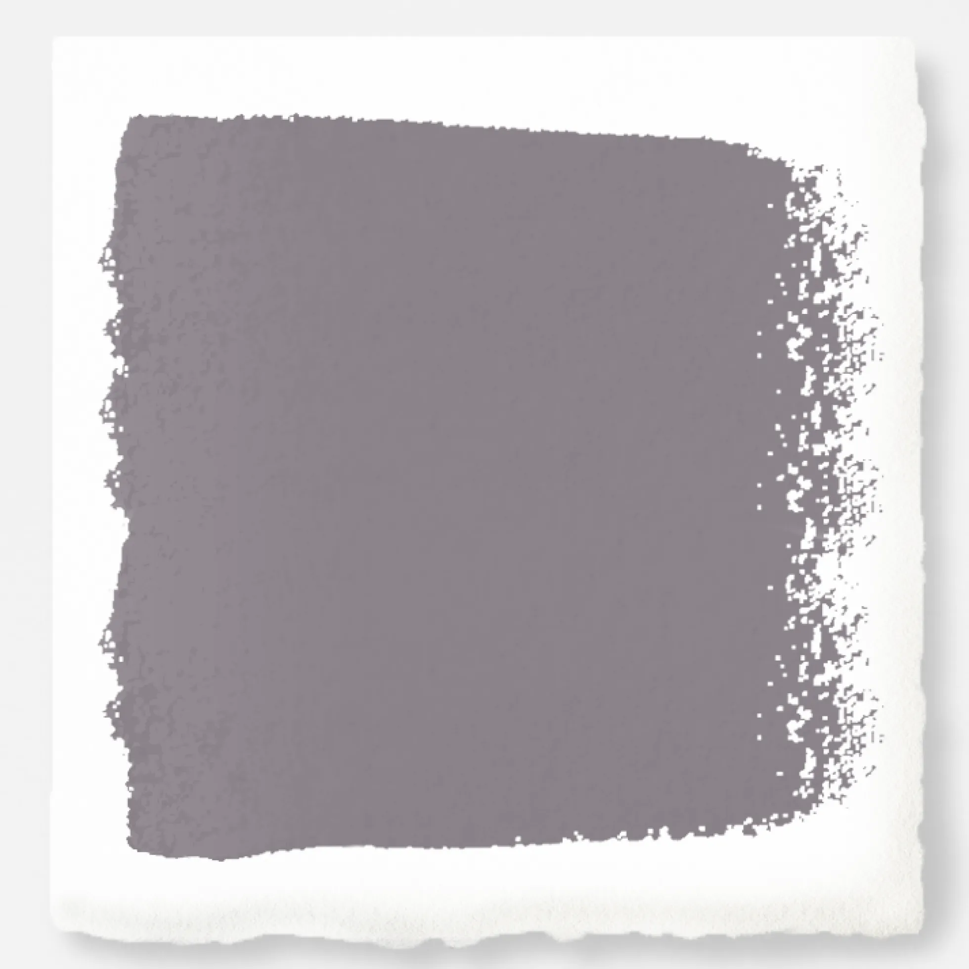 Pashmina Plum - Premium Interior Paint