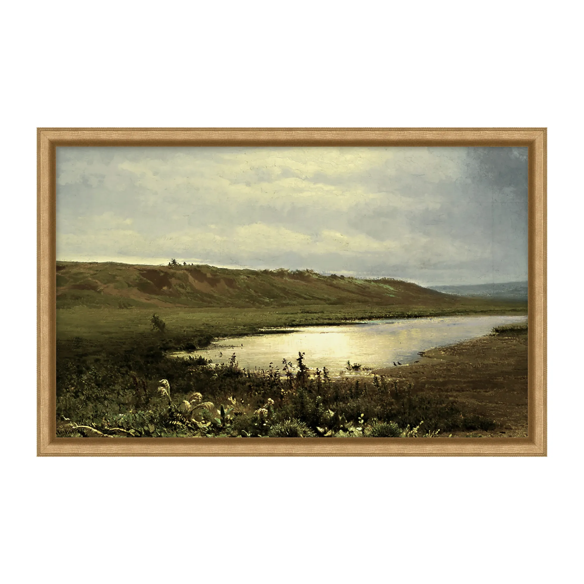 Peaceful Marsh