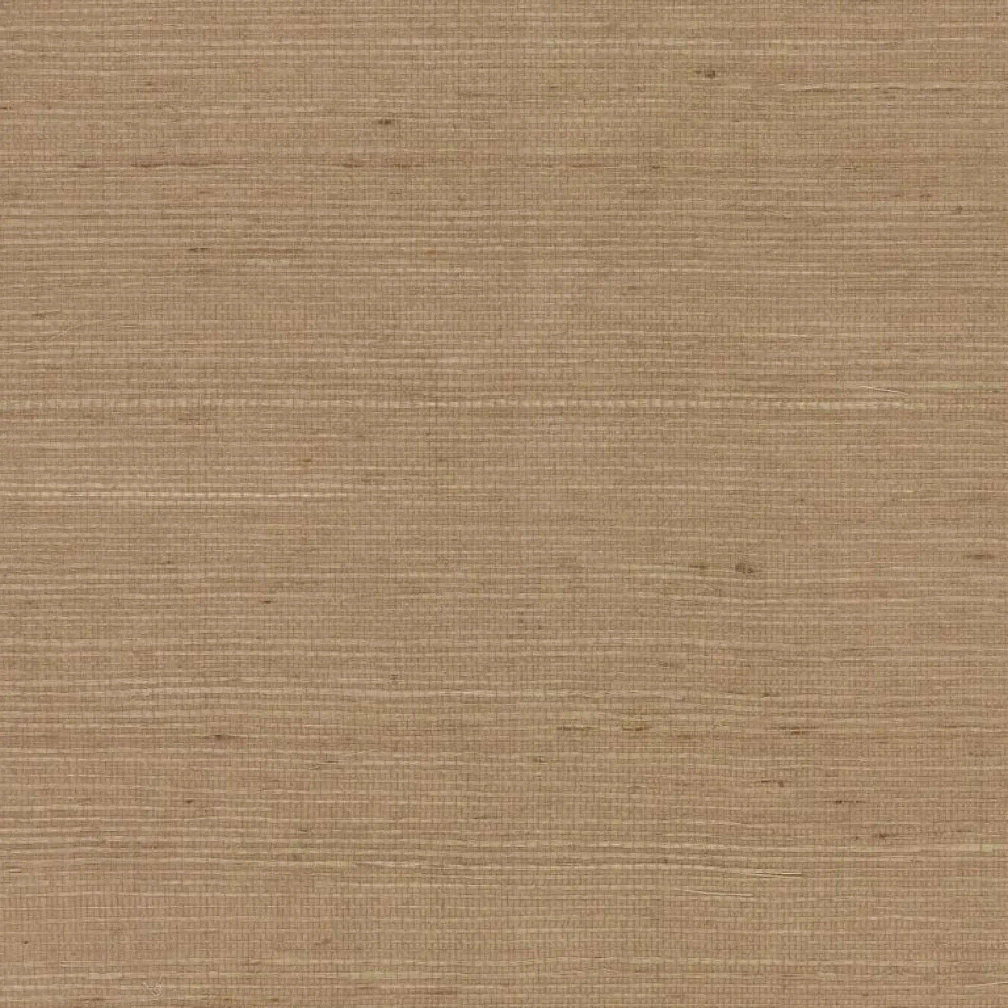 Plain Grass Wallpaper