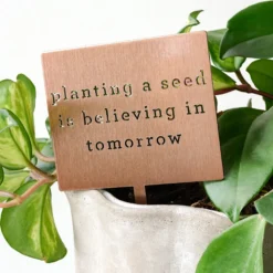 Planting A Seed Mini Garden Stake