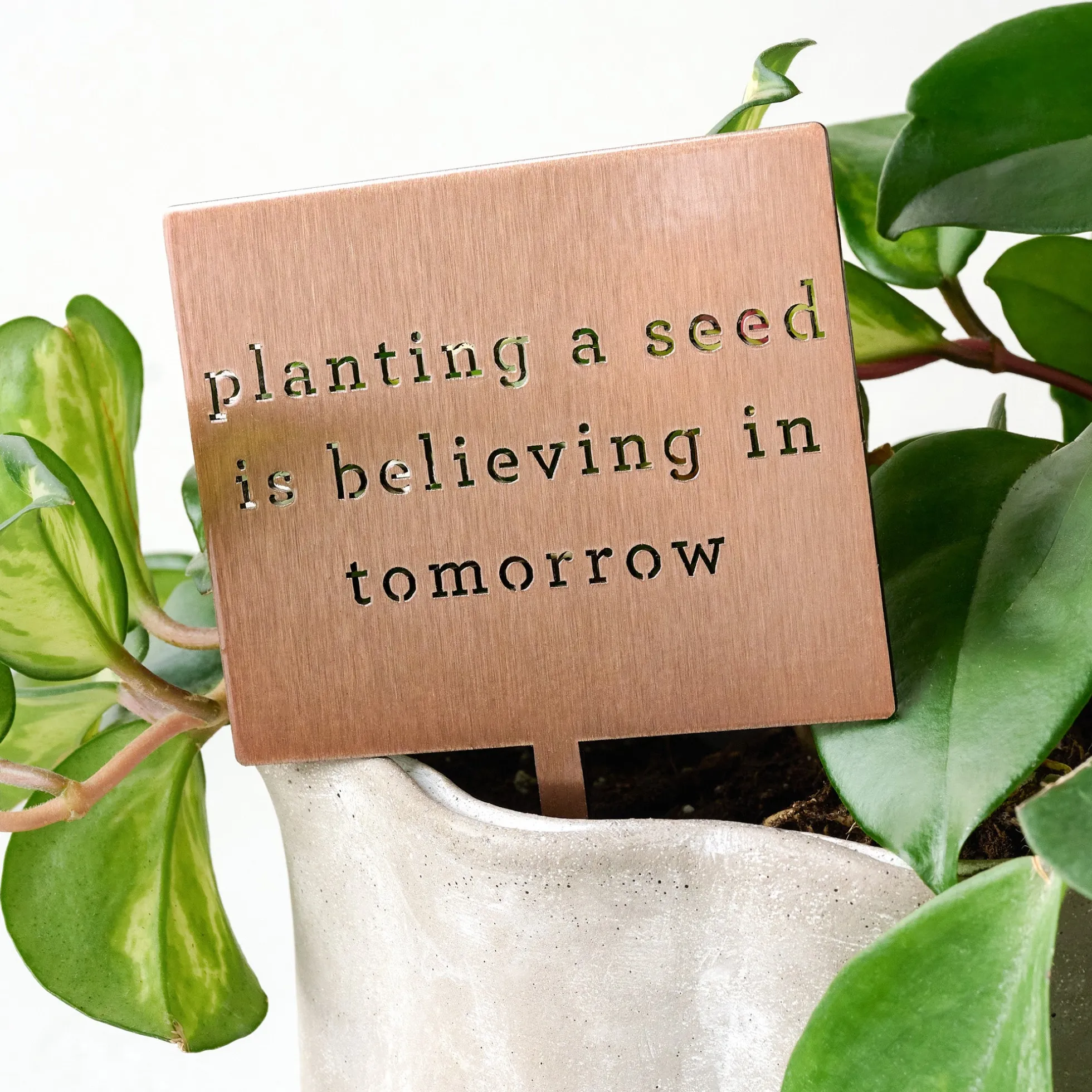 Planting A Seed Mini Garden Stake
