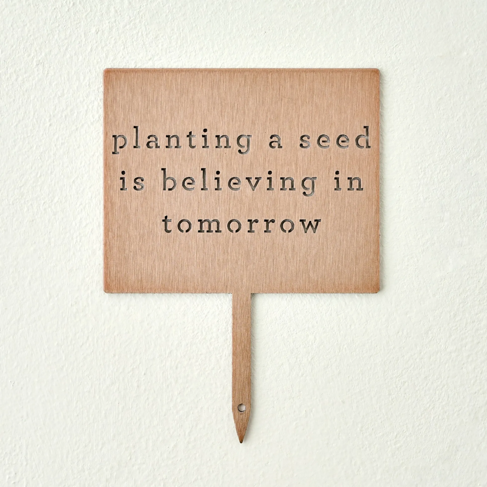 Planting A Seed Mini Garden Stake