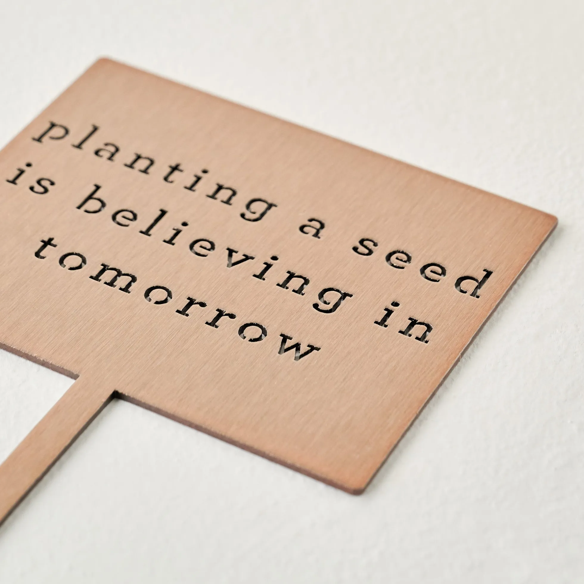 Planting A Seed Mini Garden Stake