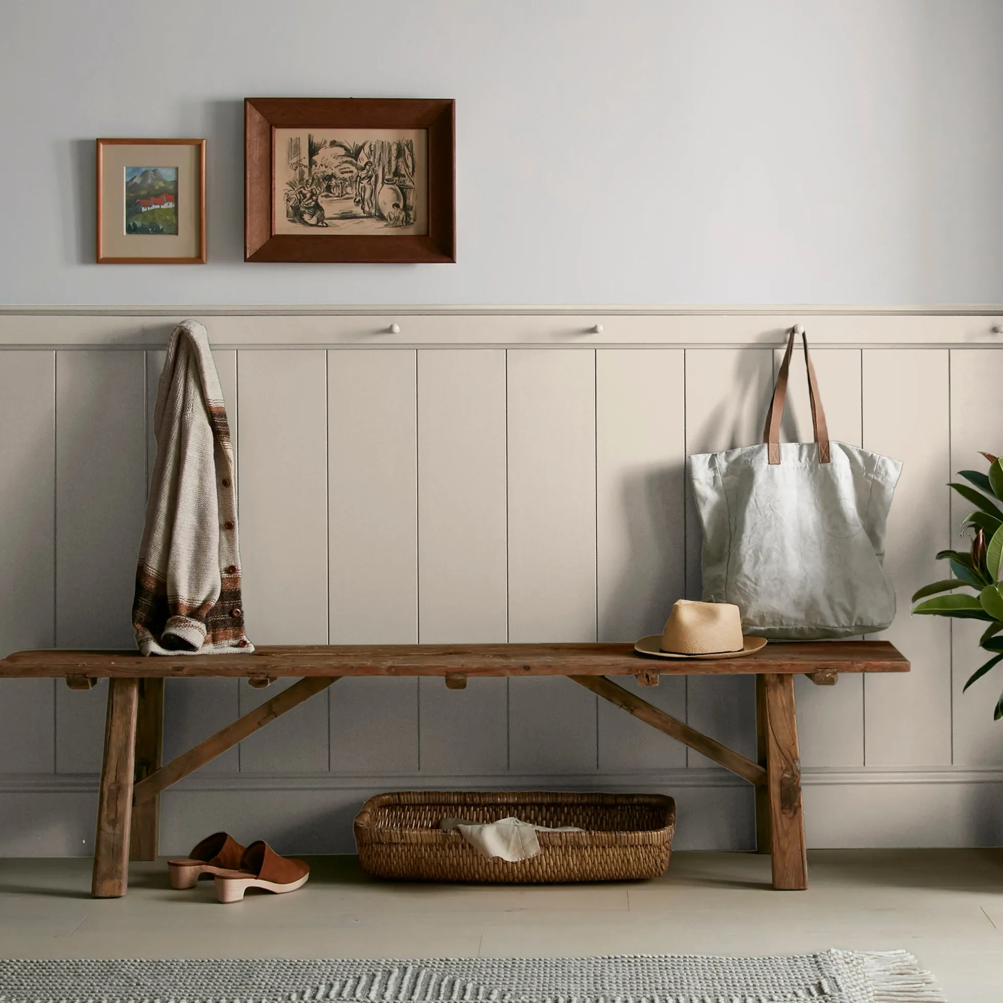 Plaster - Premium Interior Paint