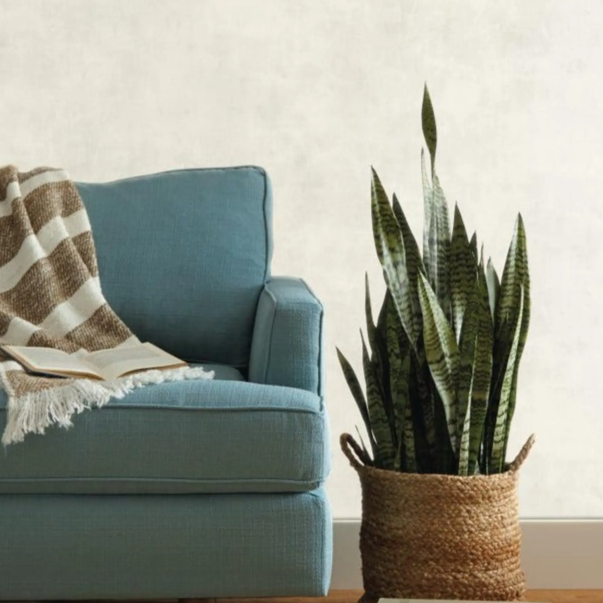 Plaster Texture Wallpaper